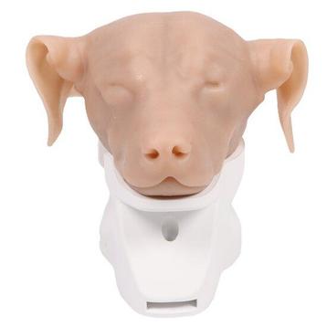 Anatomie model hond, otoscopie simulator beschikbaar voor biedingen