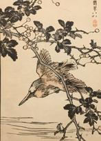 Een zwartkap ijsvogel () - Kono Bairei (1844-1895) - Japan