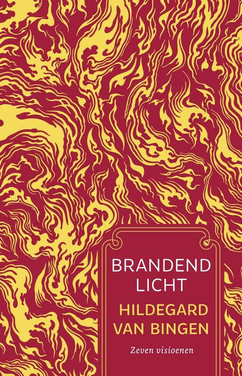 Brandend licht / Patroon 9789020221138 Hildegard van Bingen, Boeken, Esoterie en Spiritualiteit, Zo goed als nieuw, Verzenden