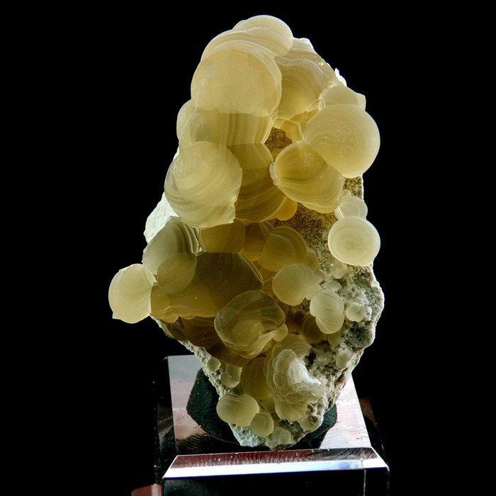 Jaspis drop - Aulon, Pyreneeën voetgebied, Frankrijk -, Verzamelen, Mineralen en Fossielen