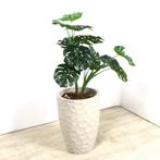 Kunstplant Monstera in sierpot, H125 cm, Ophalen of Verzenden, Nieuw in verpakking