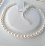 Filo 51 Perle Akoya 8mm van hoge kwaliteit - Halsketting -, Nieuw