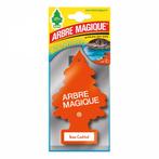 Arbre Magique Wonderboom luchtverfrisser Ibiza Cokctail, Ophalen of Verzenden, Nieuw