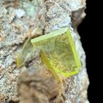 Gratis verzending in Europa -> Wulfenite, juwelenkristallen, Verzamelen, Mineralen en Fossielen