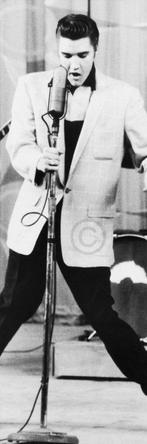 Kunstdruk Edward Lunch - The King Klein 30x91cm, Verzenden, Nieuw