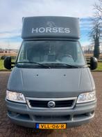 Leuke 2-paards Fiat paardenwagen te koop!, Dieren en Toebehoren, Ophalen, Zo goed als nieuw, Aluminium, 2-paards trailer