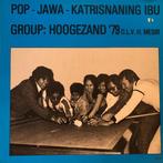 LP gebruikt - Group: Hoogezand 79 - .l.v. H. Mesir â P., Verzenden, Zo goed als nieuw