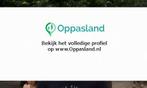 Ik ben Manuel en ik zoek oppaswerk in Gemert., Diensten en Vakmensen, Oppas en Kinderopvang