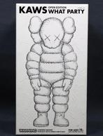 Kaws (1974) - Unused Rare WHAT PARTY white