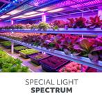 LED Kweeklamp E27 8W 1200K - Planty FGS voor groei & bloei, Ophalen of Verzenden, Nieuw