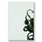 Gehard 8 mm Groen, Doe-het-zelf en Verbouw, Glas en Ramen, Ophalen of Verzenden, Nieuw