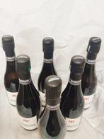 Jacquesson, Cuvée n.747 - Champagne - 6 Flessen (0.75 liter), Verzamelen, Wijnen, Nieuw