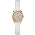 Horloge Dames Pierre Cardin CPI-2509, Verzenden, Nieuw
