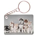 Sleutelhanger 6x4cm - Husky Pups in Diverse Kleuren NIEUW, Nieuw, Ophalen of Verzenden