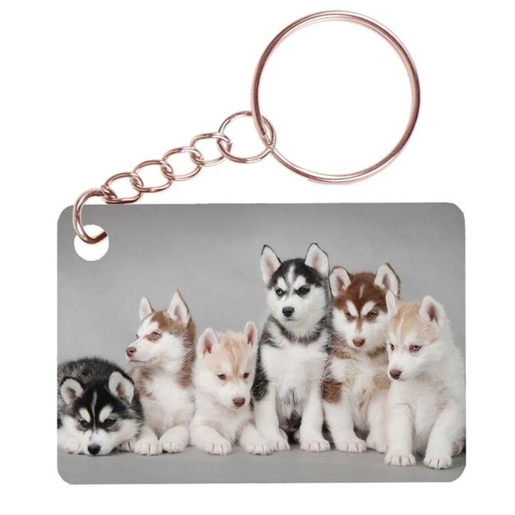 Sleutelhanger 6x4cm - Husky Pups in Diverse Kleuren NIEUW, Verzamelen, Sleutelhangers, Nieuw, Ophalen of Verzenden