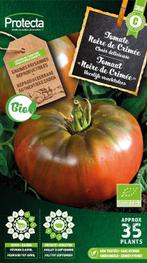 Protecta Groente zaden: Tomaat Noire de Crimée Biologisch, Ophalen of Verzenden