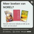 VLIEGERS IN HET VUUR OMNIBUS (8E DR) 9789000027132 NOREL, Boeken, Verzenden, Gelezen, NOREL