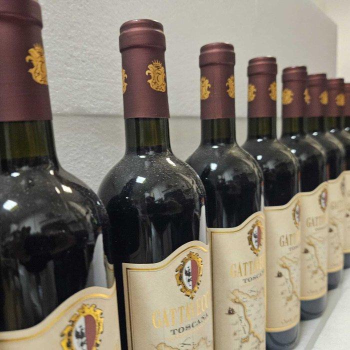 2024 Cantina Gattavecchi, Santa Maria Dei Servi - Toscane, Verzamelen, Wijnen