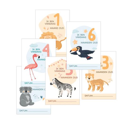 12x Mijlpaalteksten | Grote kaarten A5 formaat, Kinderen en Baby's, Kraamcadeaus en Geboorteborden, Kraamcadeau, Nieuw, Verzenden