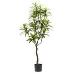 Kunstplant - Dracaena - Drakenboom - 130 cm, Verzenden, Nieuw