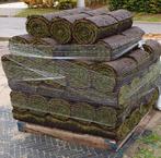 Premium graszoden, grasmatten bestellen, gazon aan leggen, Tuin en Terras, Ophalen of Verzenden, Nieuw, 20 m² of meer, Gras