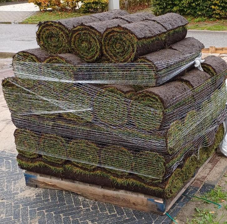 Premium graszoden, grasmatten bestellen, gazon aan leggen, Tuin en Terras, Gras en Kunstgras, 20 m² of meer, Gras, Nieuw, Ophalen of Verzenden