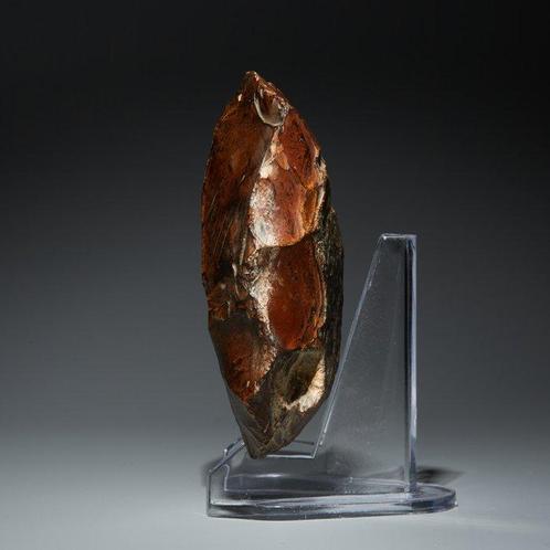 Oud-Egyptisch Vuursteen Handbijl - mes. 10 cm hoog., Verzamelen, Mineralen en Fossielen