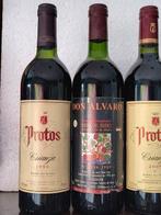 Mixed Ribera del Duero Lot: Viña Sastre, Protos, Don Alvaro,, Nieuw
