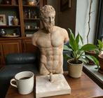 sculptuur, Dorso Eracle su base marmo - 40 cm - Gegoten