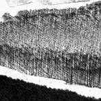 Rosario Civello - Signs #22