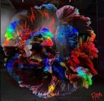 FANO (XX) - Ombres Chromatique