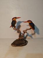 Koppel van Oosterse dwergkoningsfishermannen Taxidermie, Nieuw