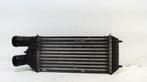 Intercooler radiateur Citroën DS3  1.2 THP 110, Auto-onderdelen, Motor en Toebehoren, Ophalen of Verzenden, Gebruikt, Citroën