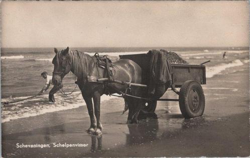 SCHEVENINGEN - Schelpenvisser, Verzamelen, Ansichtkaarten | Nederland, Verzenden
