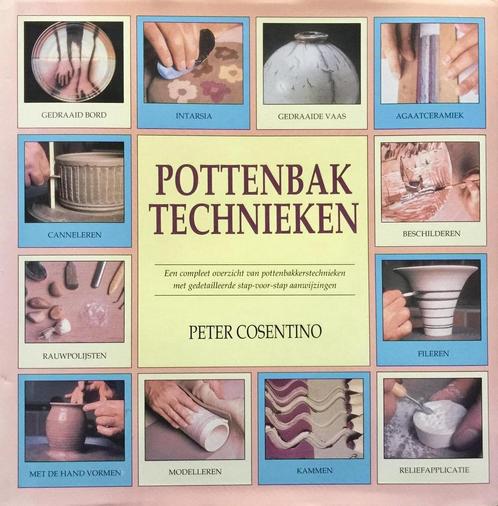 POTTENBAKTECHNIEKEN 9789072267214 P. Cosentino, Boeken, Hobby en Vrije tijd, Zo goed als nieuw, Verzenden