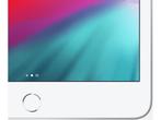 Apple iPad Mini (2019) - Wi-Fi - 256GB - Zilver, Computers en Software, Apple iPads, Verzenden, Zo goed als nieuw