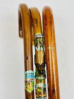 Sauer “Stöcke seit 1913” Wandelstok (3) - Hout - Vintage, Antiek en Kunst