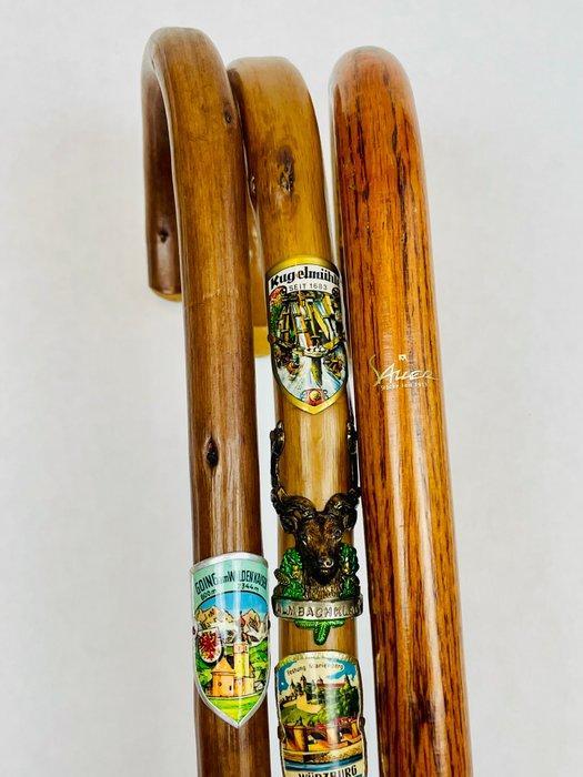 Sauer “Stöcke seit 1913” Wandelstok (3) - Hout - Vintage, Antiek en Kunst, Antiek | Overige Antiek