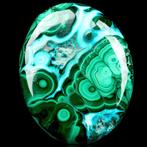 magnifiek exemplaar van Malachiet en Crisocolla Palmsteen in, Verzamelen, Mineralen en Fossielen