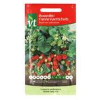 Aardbeienzaad | VT (Bosaardbei), Tuin en Terras, Verzenden