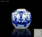Een Chinese blauw-witte Long Eliza gemberpot - GEEN, Antiek en Kunst