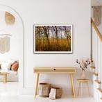 Viet Ha Tran - Colors of autumn