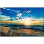Artland Artprint Strand meeuwen zee zonsondergang als, Verzenden, Nieuw