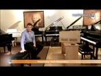 Amadeus Beethovenbank Klassiek PM (skai zitting), Muziek en Instrumenten, Piano's, Nieuw