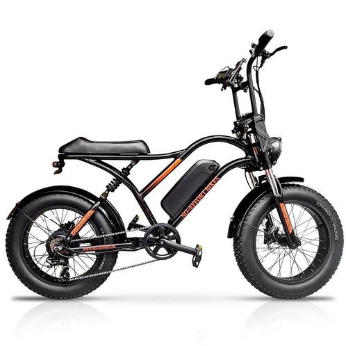 Fatbike – Electrische Fiets - E-bike - 250W - ebike - Nieuw, Fietsen en Brommers, Elektrische fietsen, Nieuw, 47 tot 51 cm, Overige merken