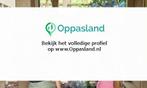 Ik ben Jasmijn en ik zoek oppaswerk in Ermelo., Nieuw