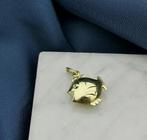 Gouden hanger van een vis. (Hanger of bedel), Ophalen of Verzenden, Gebruikt, Goud, Overige merken