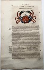 Conrad Gesner [Konrad Gessner] 1516-1565: Fishbuch: Pagurus, Antiek en Kunst
