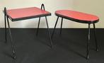 Plantentafel - formica - Twee vintage planten of
