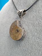 Zilver, Ammoniet - Hanger
